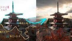 91大胆麻豆-91大胆麻豆，重塑创意与表达的数字新潮