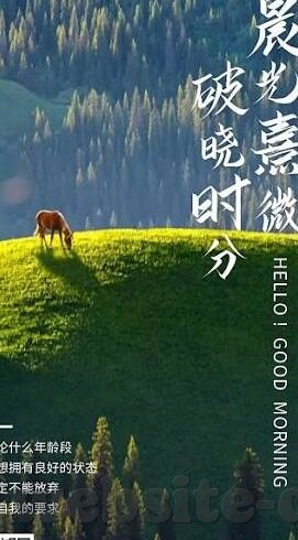 成人欧美一区二区三区-成人内容平台的多元化探索，一区、二区、三区的差异与影响
