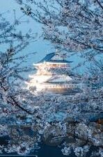 国产中文字幕无线观看视频-国产中文字幕无线观看视频的多元化视角