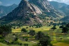 果冻传媒片-探索果冻传媒片，数字时代的创意与娱乐新风尚
