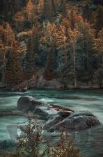 麻豆传媒白晶晶-麻豆传媒白晶晶，光影中的艺术魅力