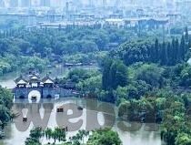 麻豆传媒果冻-麻豆传媒果冻，数字时代下的文化与商业交融