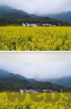 麻豆视频完整免费观看-