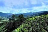 日韩av不卡在线-日韩AV视频流畅观看指南，解析高清体验与选择技巧