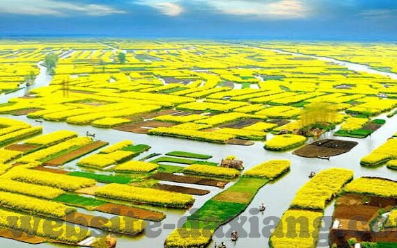 糖心直播免费版app下载-一、打开视野的窗口——糖心直播
