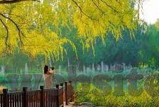 中文字幕手机香蕉在线-中文字幕手机香蕉在线，便捷的观影新体验